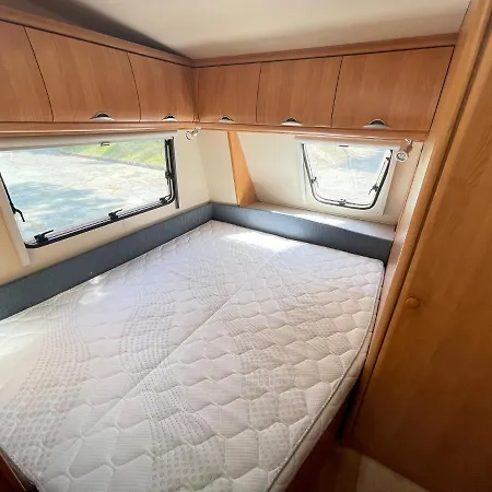 Your Camp Albatros