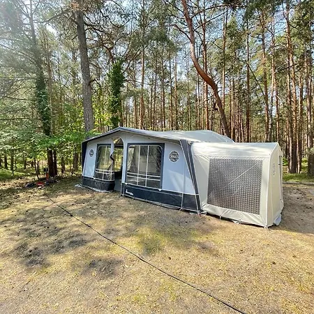 Your Camp Albatros *