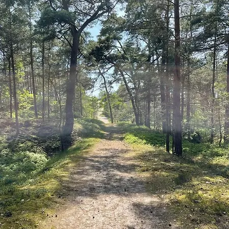 Your Camp Albatros Campsite *