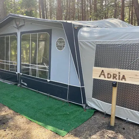 Your Camp Albatros